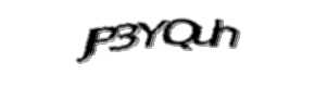 Security check image, please type the characters shown